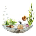 Hand drawn watercolor aquarium fish, algae, snails shells and sealife. Marine exotic underwater illustration. Isolated