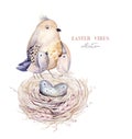 Hand drawn watercolor bird nest with eggs, easter spring design Royalty Free Stock Photo