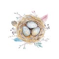 Hand drawn watercolor art bird nest with eggs , easter design. Royalty Free Stock Photo