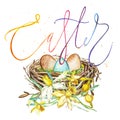 Hand drawn watercolor art bird nest with eggs and spring flowers , word-easter. Isolated illustration on white Royalty Free Stock Photo