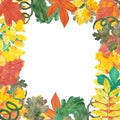 Hand drawn watercolor autumn leaves frame composition on white background. Can be used for invitation, Thanksgiving Scrapbook