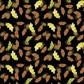 Hand drawn watercolor autumn oak seamless pattern. Colorful oak leaves and acorns  seamless texture on black background Royalty Free Stock Photo