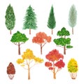 Hand drawn watercolor autumn trees. Isolated on white background. Can be used for cards, banners, invitations, label and other Royalty Free Stock Photo