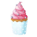 Hand drawn watercolor blue and pink cupcake with topping