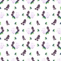 Hand drawn watercolor blueberry, marshmellow and black currants seamless pattern on white background. Gift-wrapping, banner,