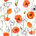 Hand drawn watercolor botanical illustration flowers leaves. Red poppy papaver, stems buds seedpods. Seamless pattern Royalty Free Stock Photo