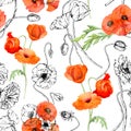 Hand drawn watercolor botanical illustration flowers leaves. Red poppy papaver, stems buds seedpods. Seamless pattern Royalty Free Stock Photo