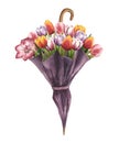 Hand drawn watercolor bouquet of tulips in closed umbrella