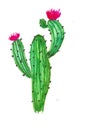 Hand drawn watercolor cactus flower