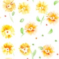 Hand drawn watercolor calendula flower illustration. Isolated White Background with calendula, cineraria or doronicum for printing