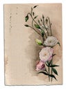 Hand drawn watercolor card with eustoma flowers