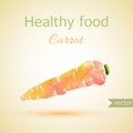 Hand drawn watercolor carrot. vector illustration