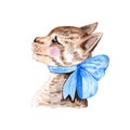 Hand Drawn watercolor cat with bow Illustration for card making, paper, textile, printing, packaging