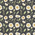 Hand drawn watercolor chamomile seamless pattern.Wildflowers repeat paper. Meadow Florals bouquet pattern. Daisy flowers