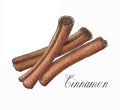 Hand drawn watercolor cinnamon sticks isolated on the white background.