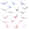 Hand drawn watercolor colorful silhouettes of birds. Pink, orange, violet and blue colors. Vector traced set.