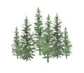 Christmas trees watercolor hand drawn seamless background texture.