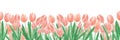 Hand drawn watercolor cream tulips seamless border isolated on white background. Can be used for banner, decoration and other