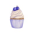 Hand drawn watercolor cupcake decorated with berries. Blueberry. Isolated. for card, poster