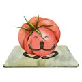 Hand drawn watercolor cute tomato character doing yoga stretching asana practice. Fitness health. Illustration isolated