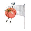 Hand drawn watercolor cute tomato character playing volleyball block serve practice. Fitness health. Illustration Royalty Free Stock Photo