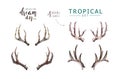 Hand drawn watercolor deer horns with tropical flower bouquets. Exotic palm leaves, jungle tree, brazil tropic botany Royalty Free Stock Photo