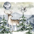 Hand drawn watercolor deer with owl scandinavian illustration, isolation objects on white background Forest wildlife