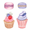 Hand drawn watercolor dessert set:cupcakes and macaron with whipped cream and strawberry, blackberry and leaf