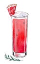 Hand drawn watercolor drink. Glass of grapefruit juice Royalty Free Stock Photo