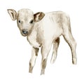 watercolor Cute baby animal