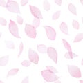 Hand drawn watercolor falling sakura petals seamless pattern Royalty Free Stock Photo