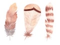 Hand drawn watercolor feather set. Boho style. Brown illustration isolated on white. Royalty Free Stock Photo