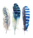 Hand drawn watercolor feather set. Boho style. illustration isolated on white. Design for T-shirt, invitation, wedding card. Royalty Free Stock Photo