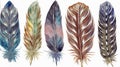 Hand drawn watercolor feather set. Boho style. illustration isolated on white background, soft color, generative Ai Royalty Free Stock Photo