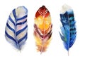 Hand drawn watercolor feather set. Boho style Royalty Free Stock Photo