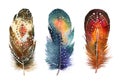 Hand drawn watercolor feather set. Boho style Royalty Free Stock Photo