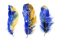 Hand drawn watercolor feather set. Boho style Royalty Free Stock Photo