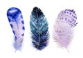 Hand drawn watercolor feather set. Boho style Royalty Free Stock Photo