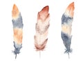 Hand drawn watercolor feather set. Boho style illustration isolated on white. Royalty Free Stock Photo