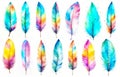 Hand drawn watercolor feather set. Boho style wings. Illustration isolated on white background Royalty Free Stock Photo