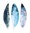 Hand drawn watercolor feather set, raster