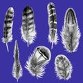 Hand Drawn Watercolor Feathers.