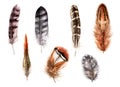 Hand Drawn Watercolor Feathers.