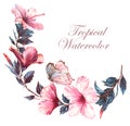 Hand-drawn watercolor floral illustration of the tender white composition with pink hibiscus flowers and the tropical butterfly Royalty Free Stock Photo