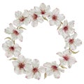 Spring almond blossom wreath in watercolor style isolated on white background.