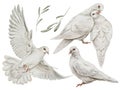 White pigeons set in watercolor style isolated on a white background. Royalty Free Stock Photo