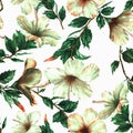 Hand-drawn watercolor floral seamless pattern with the tender white hibiscus flowers