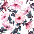 Hand-drawn watercolor floral seamless pattern with the tender white and pink hibiscus flowers Royalty Free Stock Photo