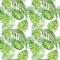 Watercolor floral tropical seamless pattern with green monstera leaves and palm tree leaves on white Royalty Free Stock Photo