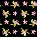 Watercolor floral tropical seamless pattern with green monstera leaves and pink plumeria flowers on black Royalty Free Stock Photo